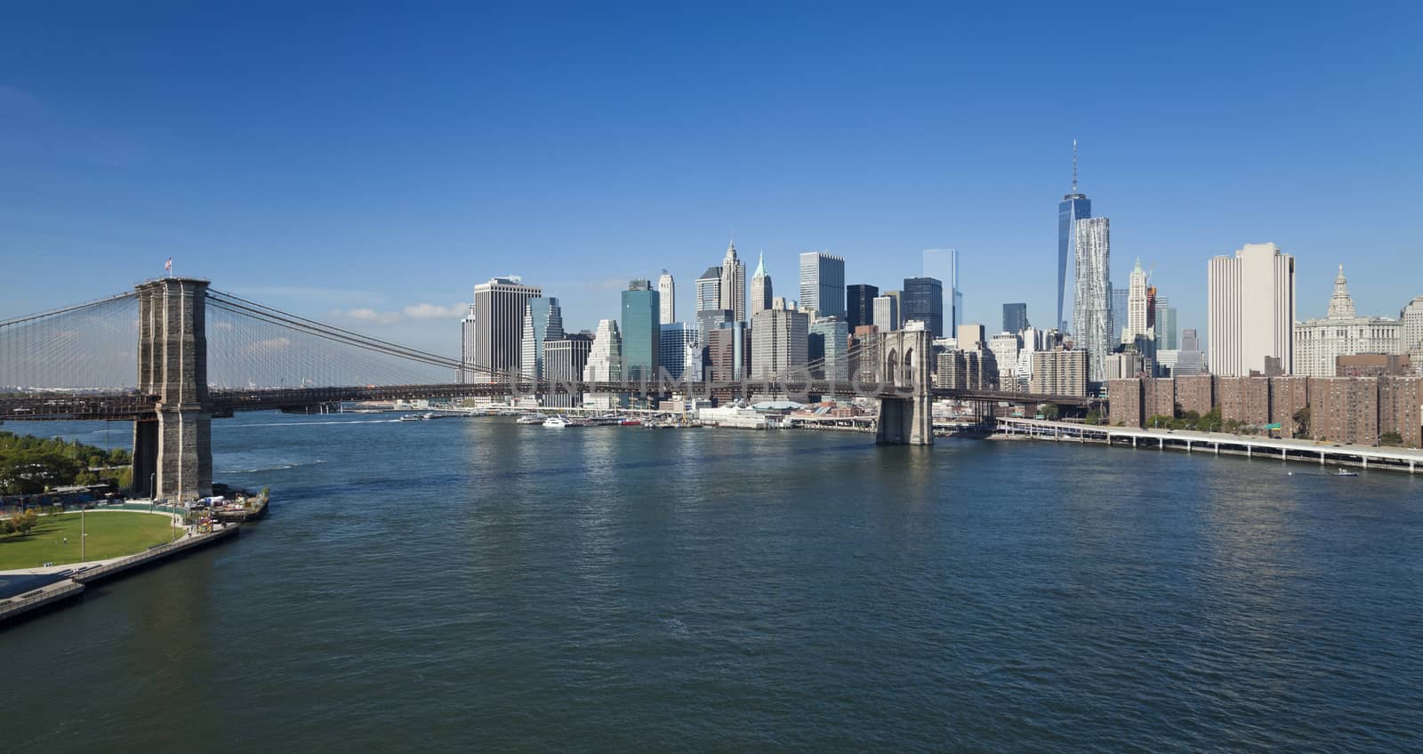 The New York City Downtown w Brooklyn Bridge and Freedom tower
