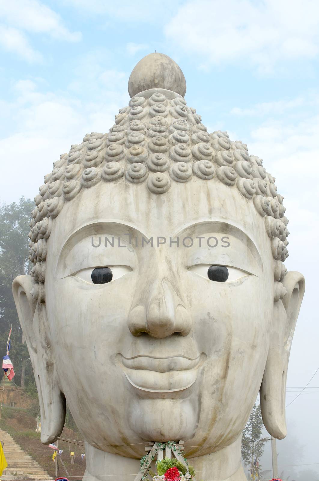 The Head of Buddha Image.