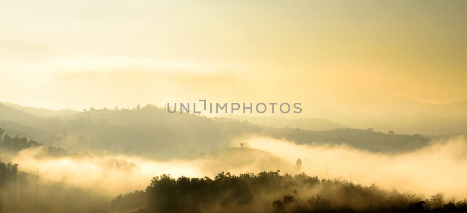 The Mountain Landscape View and Mist in the north of of Thailand.