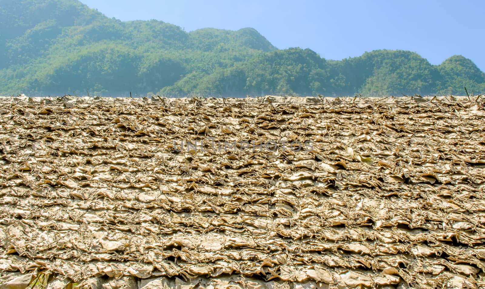 The Roof of Refugee House made from Leaf at Refugee Camps in the North of Thailand.