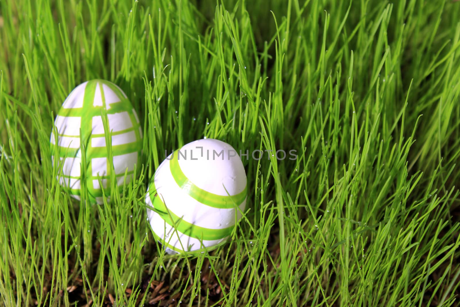 easter eggs in grass by Tomjac1980