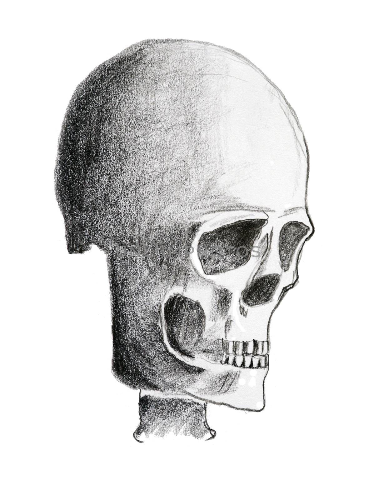 Drawing of the human skull - warning sign