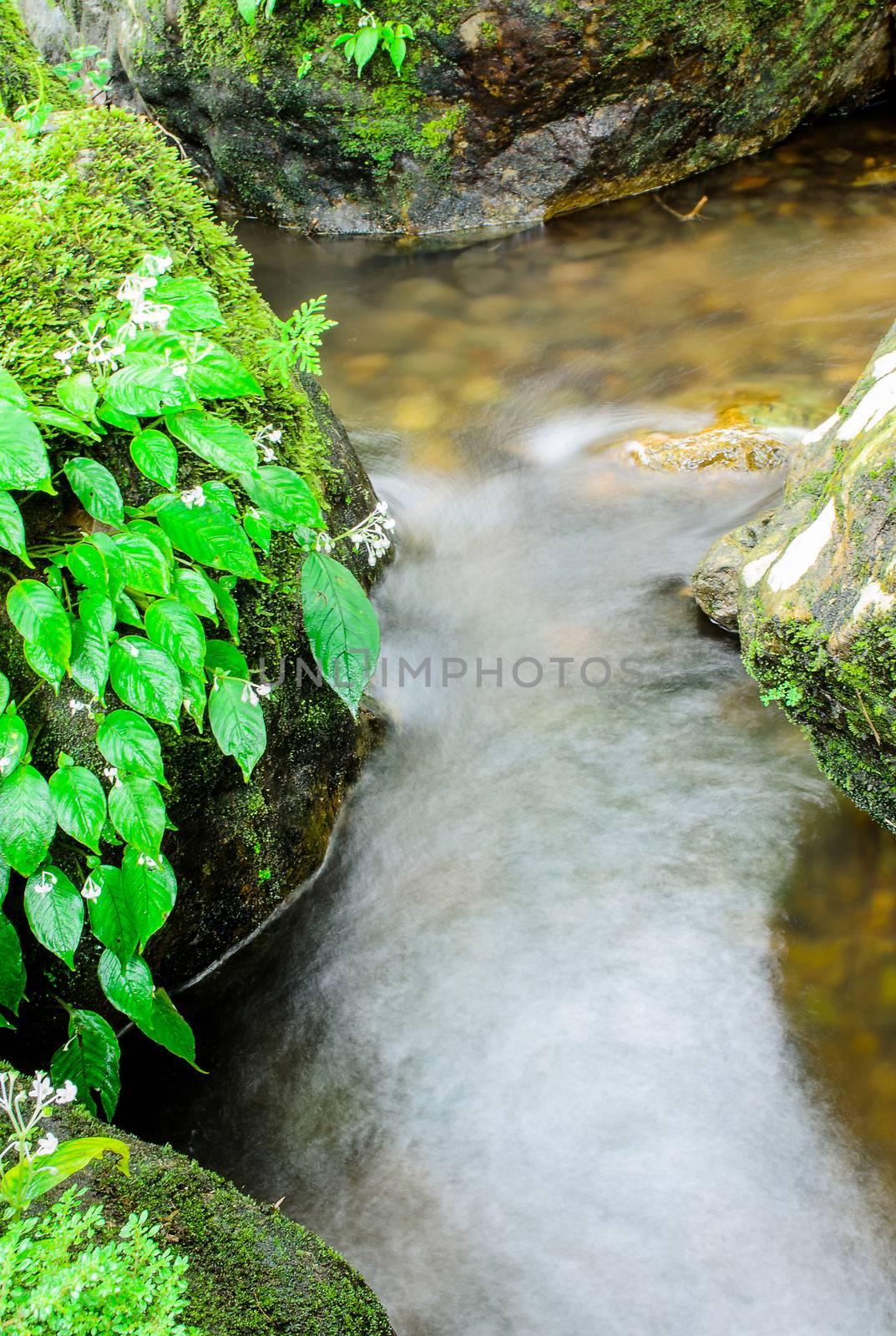 Green Moss and Waterfall in Deep Forest at Sarika Waterfall Thai by kobfujar