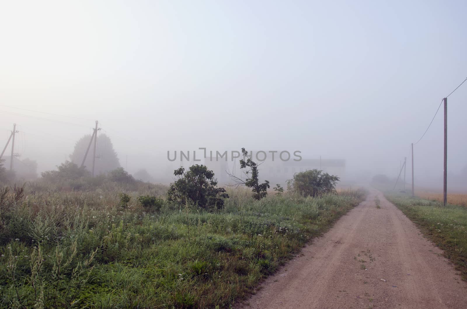 summer end rural gravel road and morning mist fog