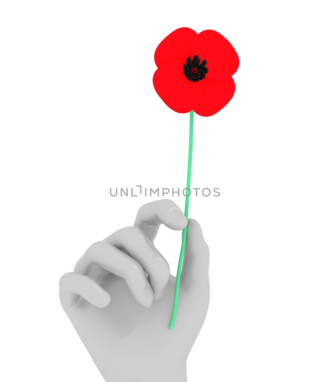 Illustration of a hand holding a Poppy flower