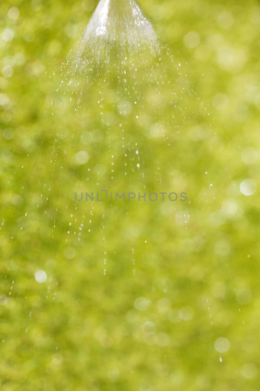 fine jet of water with a green background 