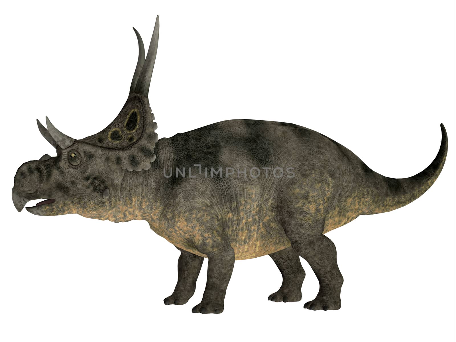 Diabloceratops was a herbivore dinosaur that lived in the Cretaceous Era of Utah in North America.