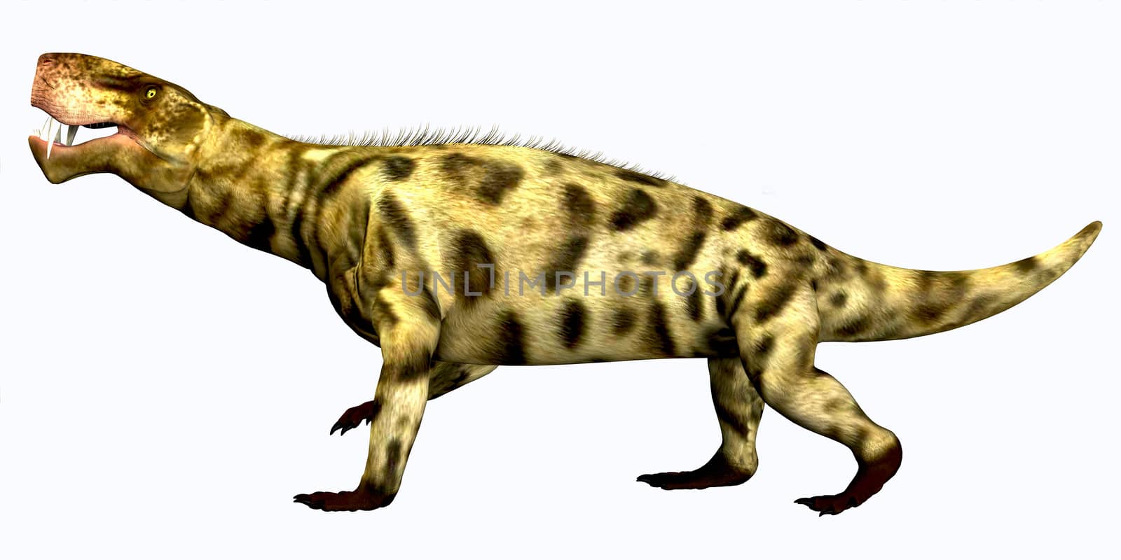 Inostrancevia Permian Reptile by Catmando