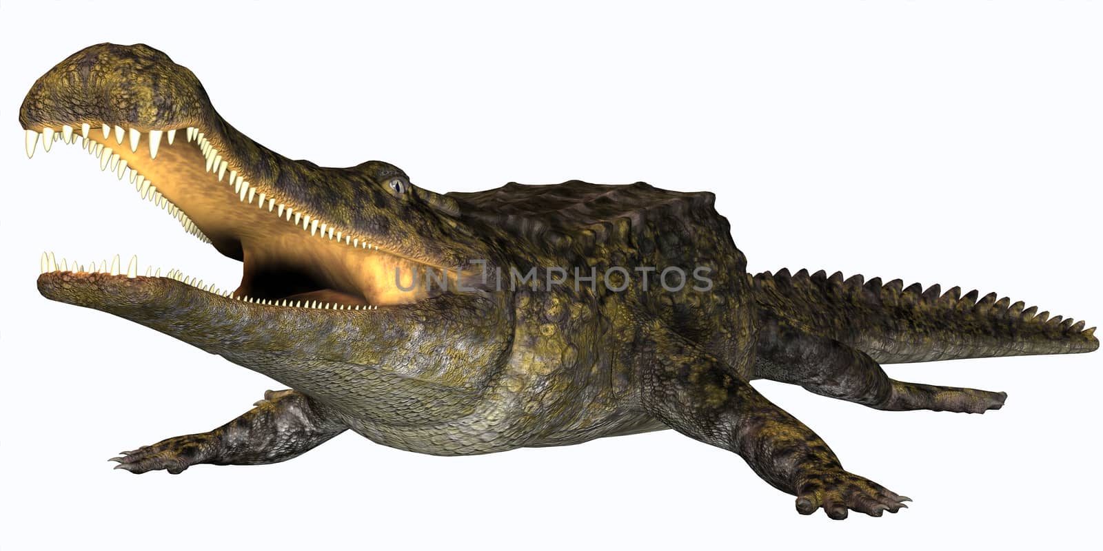 Sarcosuchus is an extinct genus of carnivorous crocodile that lived in the Cretaceous Period of Africa.