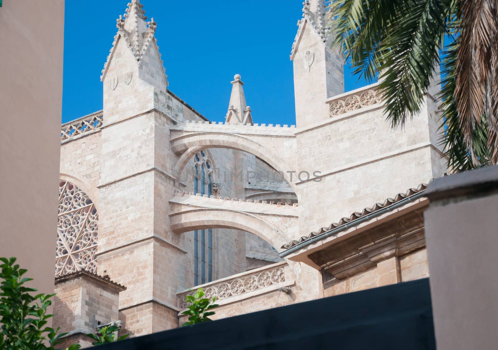 Gothic Cathedral detail. La Seu, Palma de Mallorca, Balearic islands, Spain.