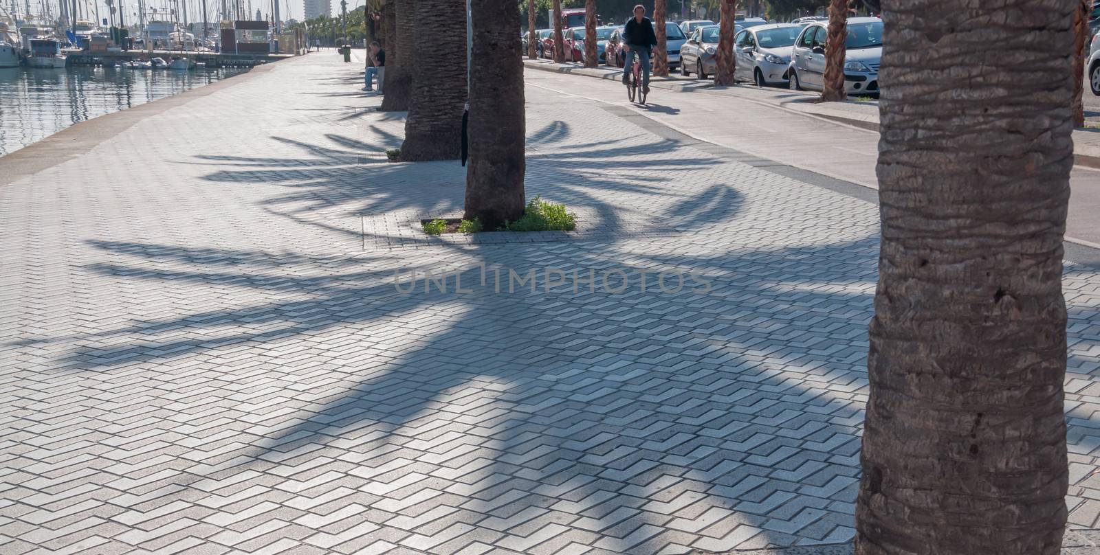 Sidewalk Palma harbor and palm shadows. Palma de Mallorca, Balearic islands, Spain.