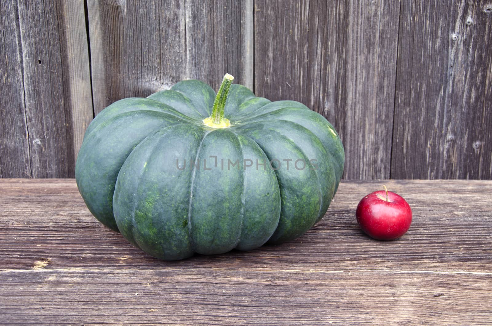 big green pumpkin and red small apple on old wooden background