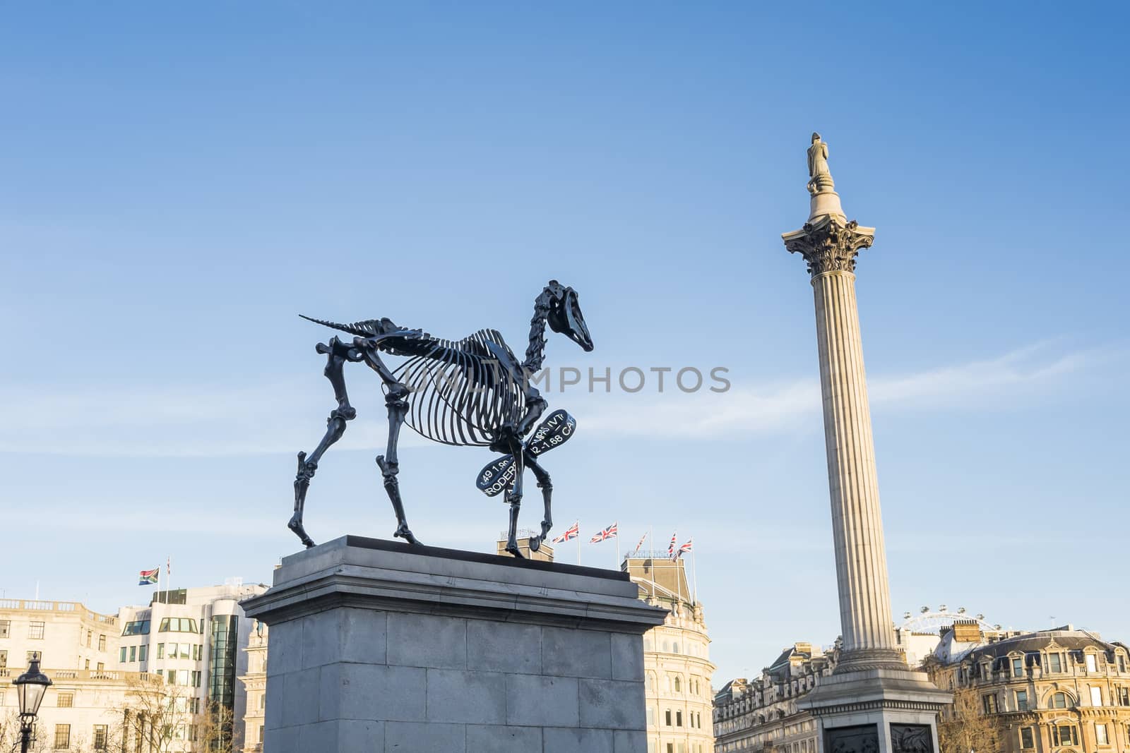 LONDON, UK - MARCH 06: Gift Horse sculpture by Hand Hacke, with Nelson's Column in the background, in Trafalgar Square. March 06, 2015 in London. The artwork shows live FTSE 100 tick in its ribbon.