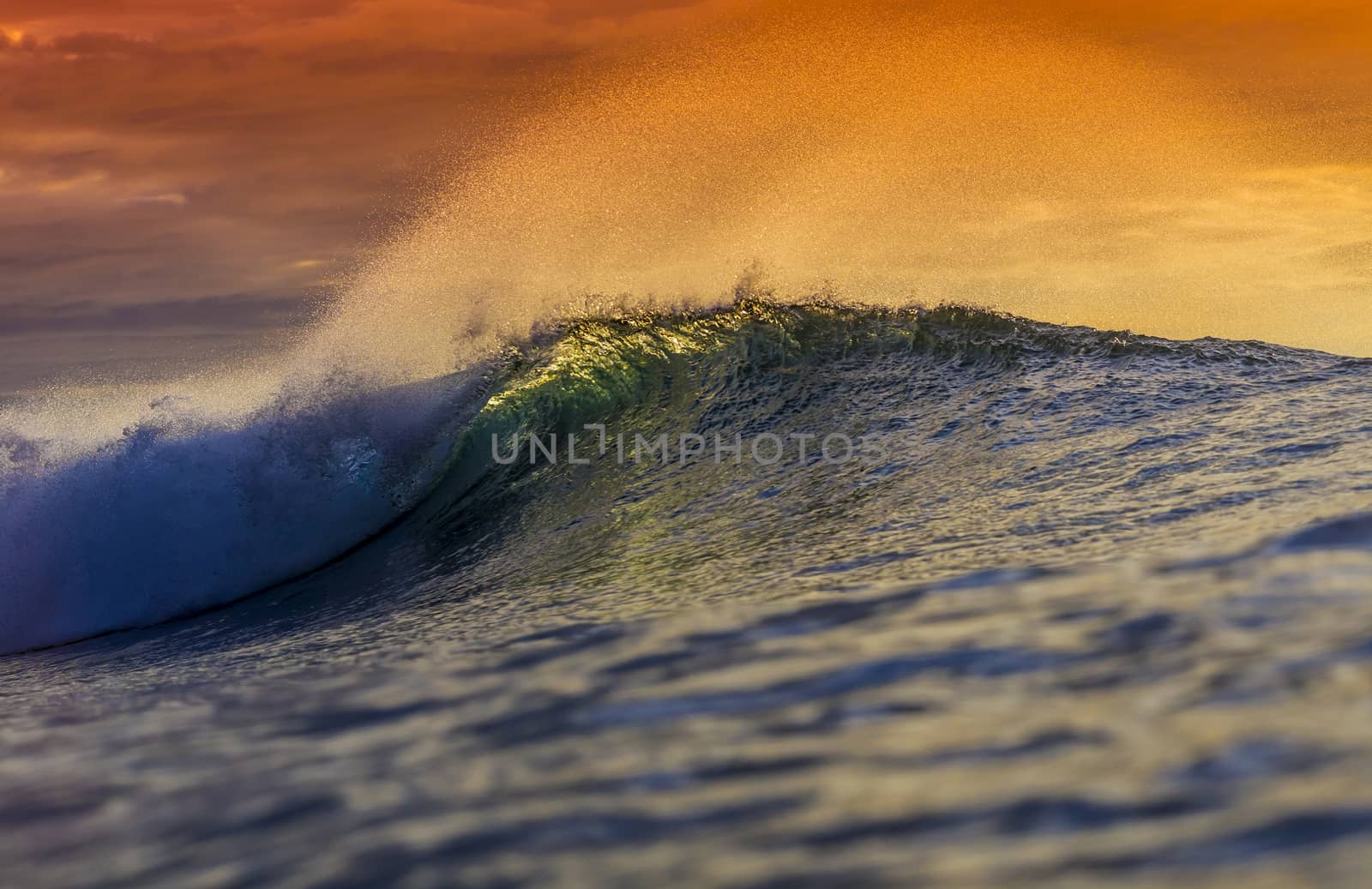 Colored Ocean Wave Falling Down at Sunset Time.