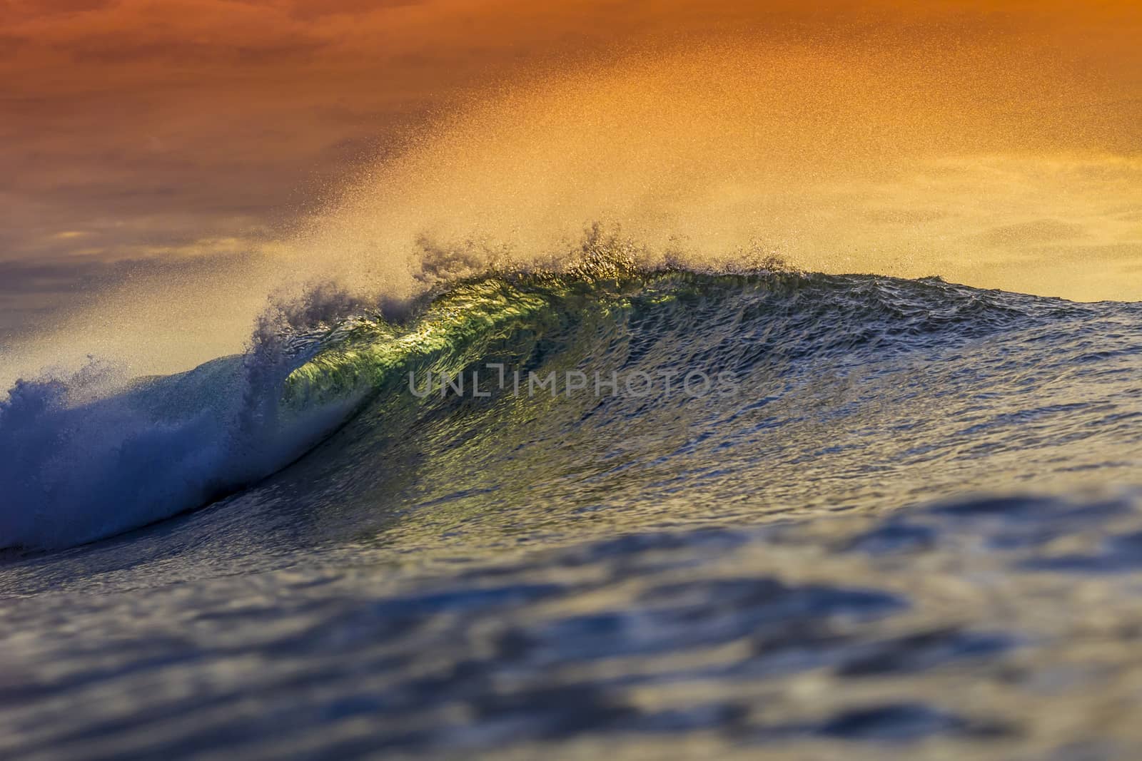 Colored Ocean Wave Falling Down at Sunset Time.