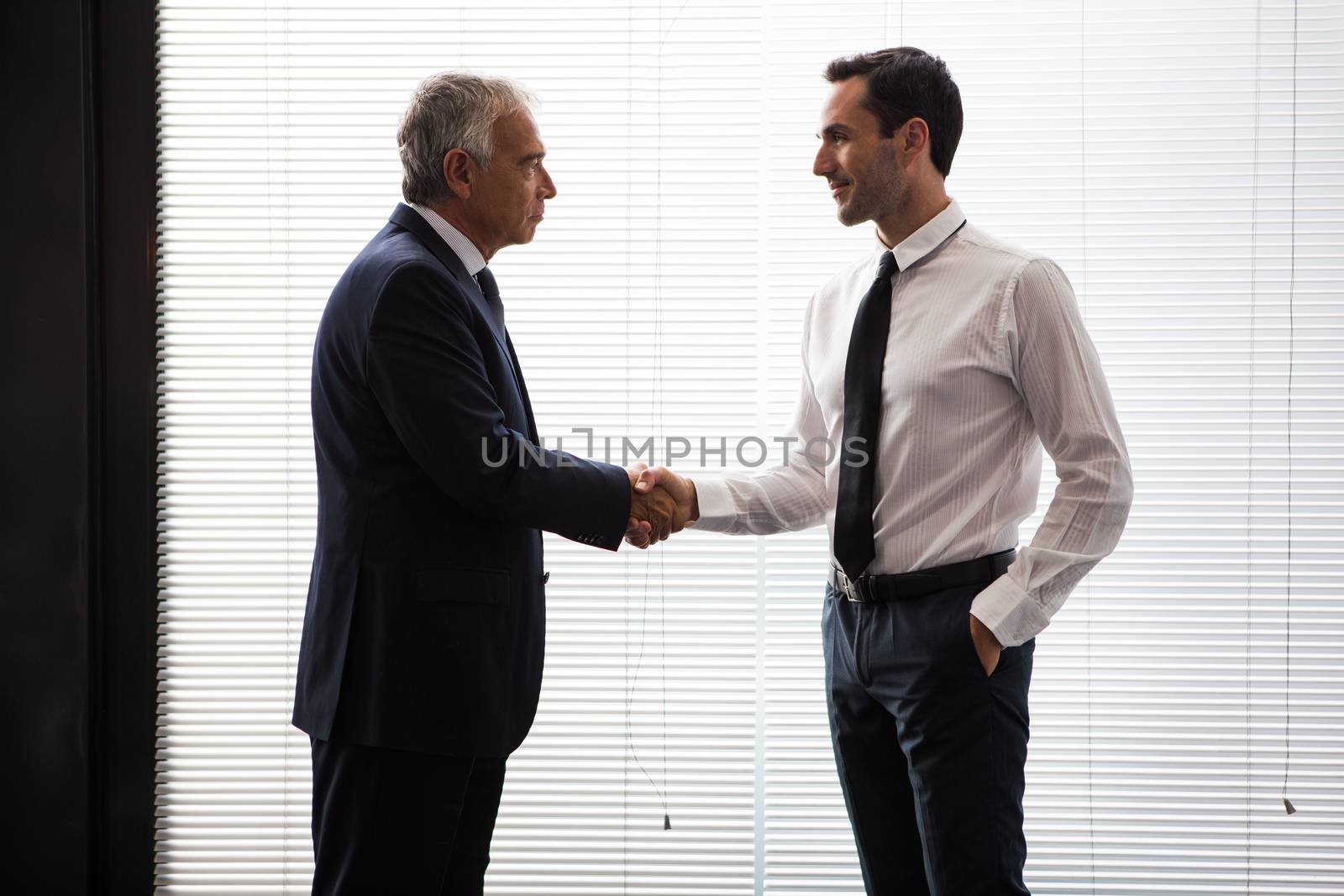 Half length portrait of two businessmen standing up and shaking hands