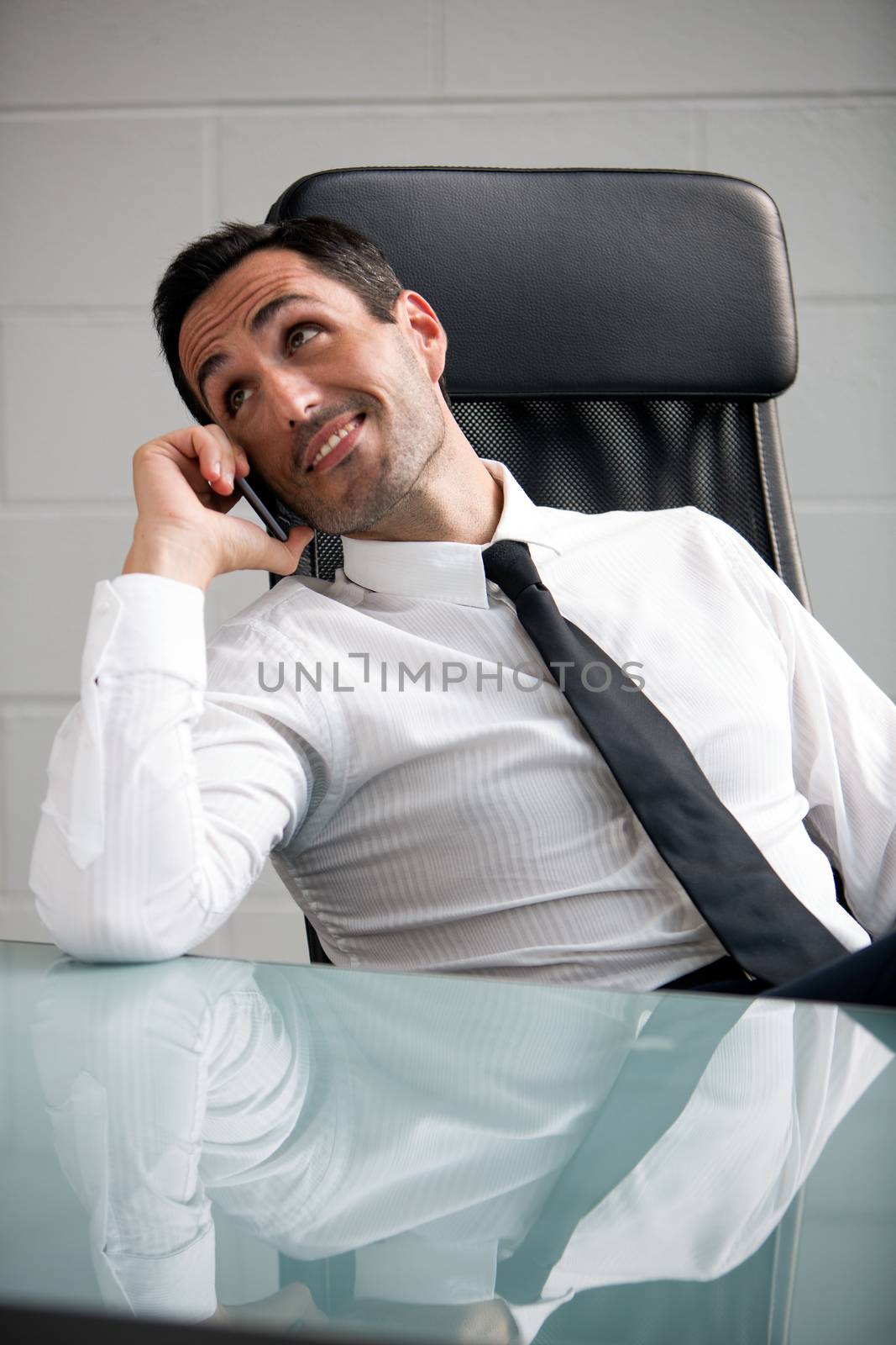 Portrait of a male businessman in the office talking over the phone 