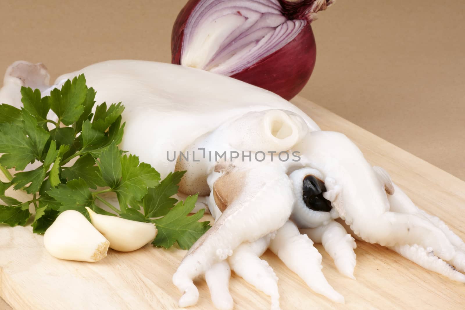 Raw cuttlefish on a wooden cutting board with red onion, parsley and garlic.