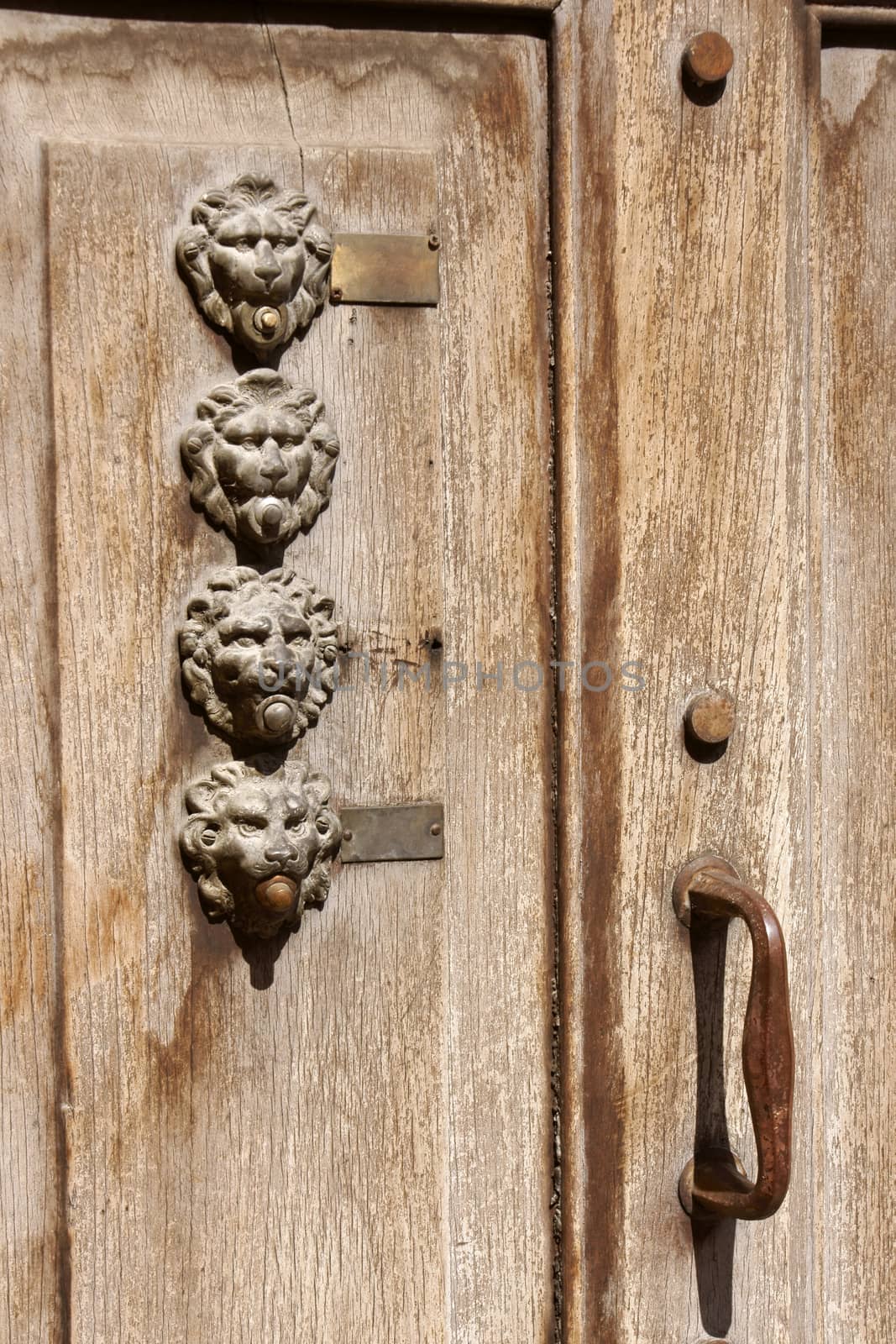 Old wooden door with bronze lion head shaped door bells