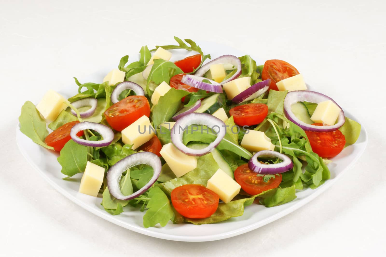 Close-up of a fresh mixed salad with cheese served on white dish.