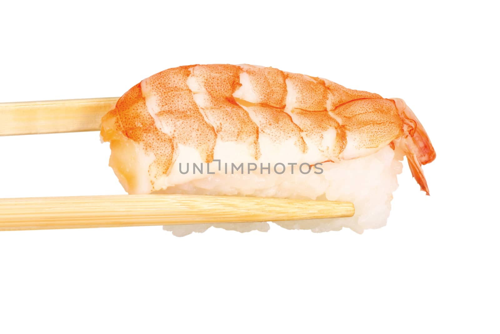 Wooden chopsticks holding a piece of sushi with shrimp isolated on white background