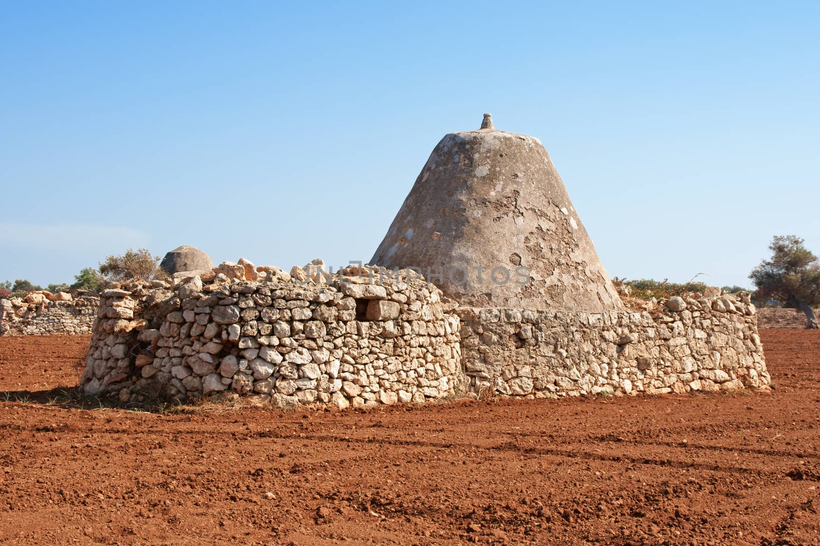 Ancient Trulli houses in Apulia with conical roofs made of lapidary stones. These rural constructions were built in the country along the sea.