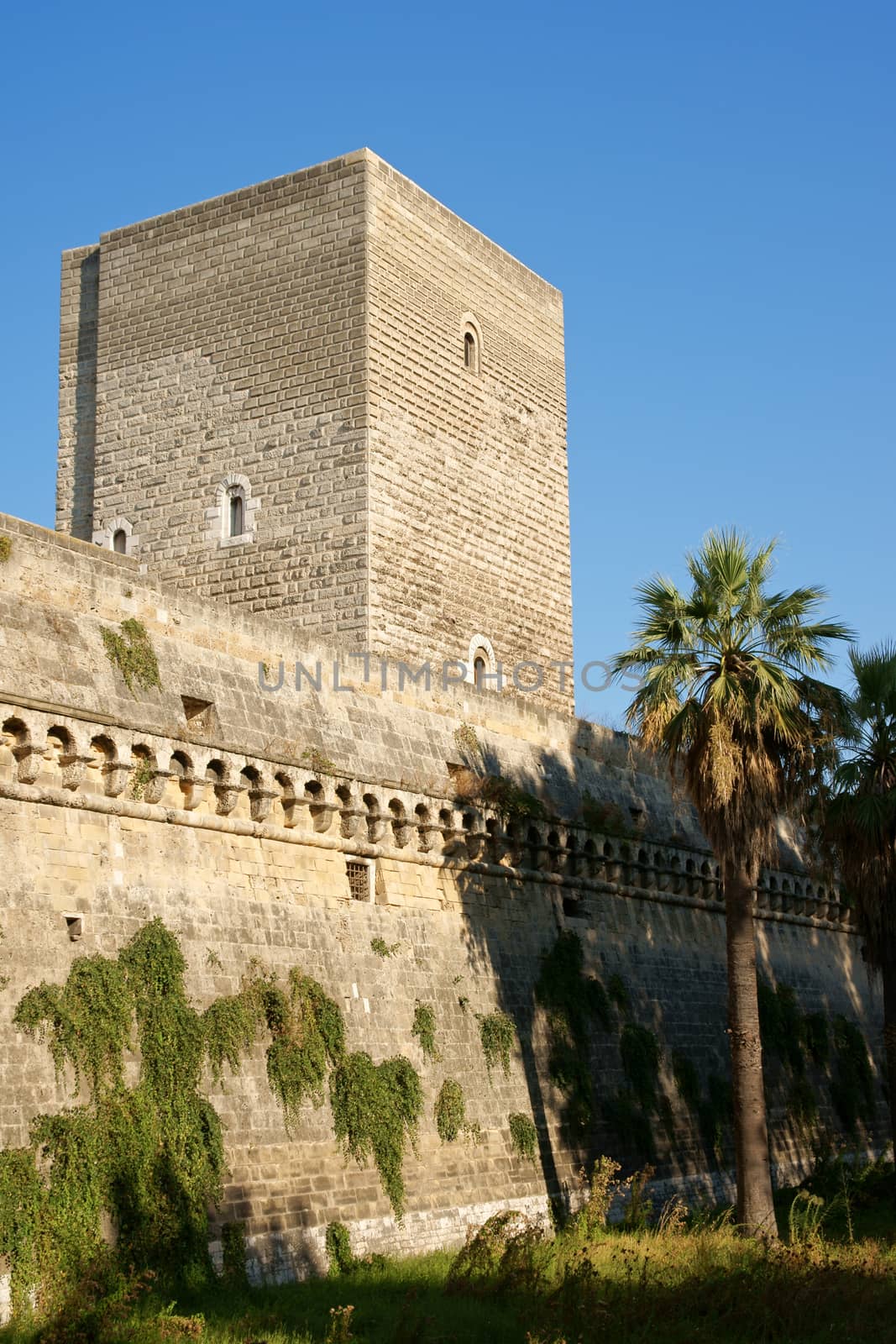 The Norman-Swabian castle of Bari was built by the Normans in the XII century and restored by Frederick II of Swabia, between 1233 and 1240. The medieval castle is located in the central area of the chief town of Apulia in Italy.