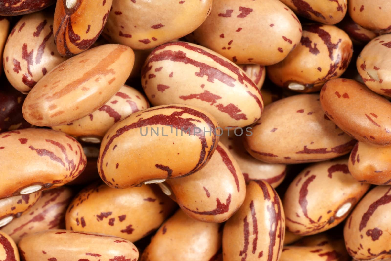 Close-up of dry beans for an organic background.