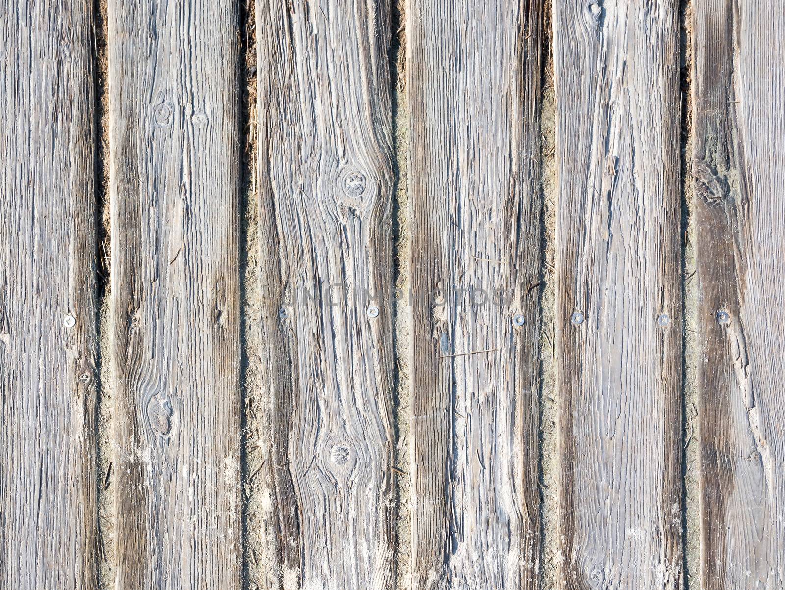 Weathered wood background texture. Old rugged planks with screws for background texture.