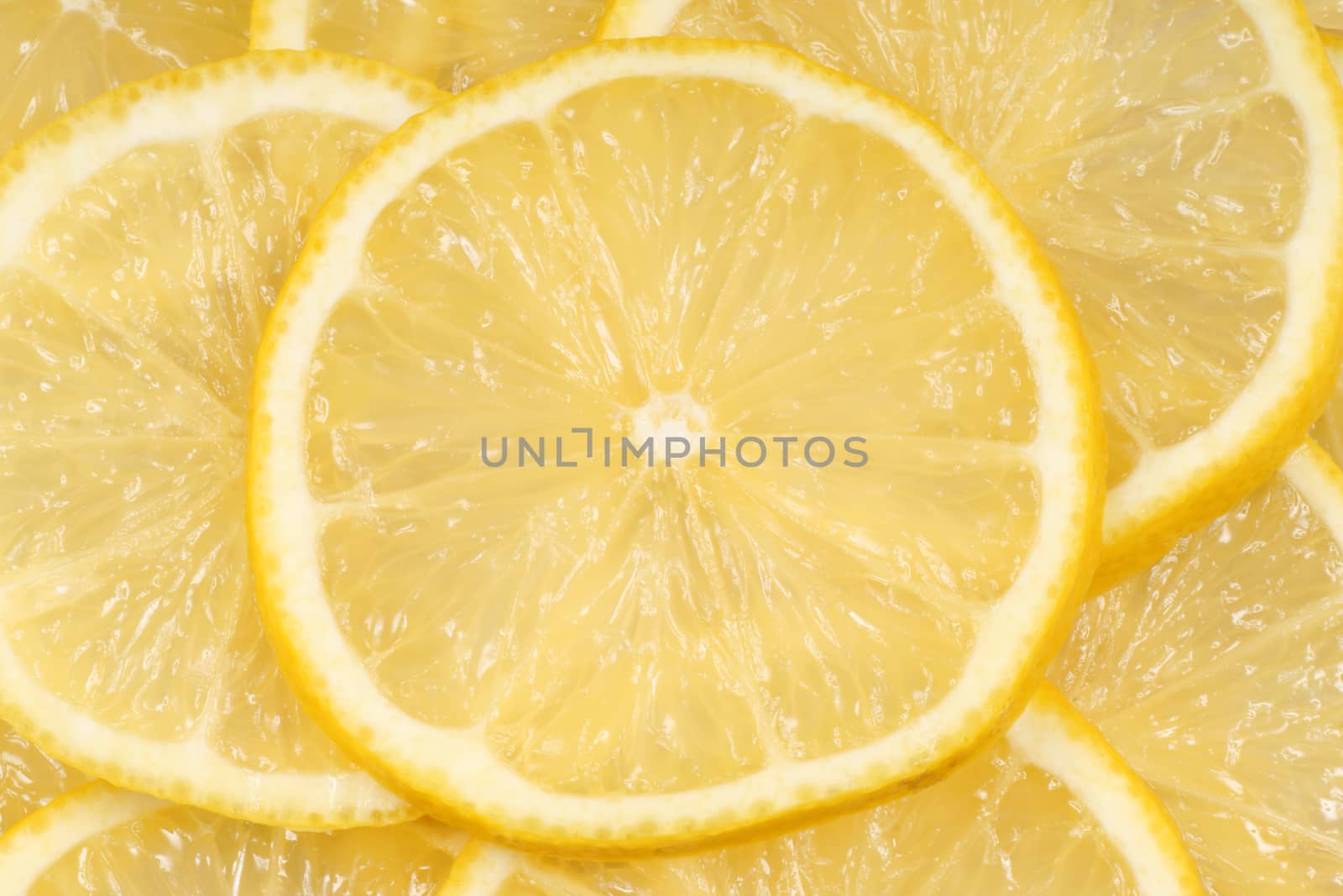 Close-up of slices of fresh lemon for an organic background.