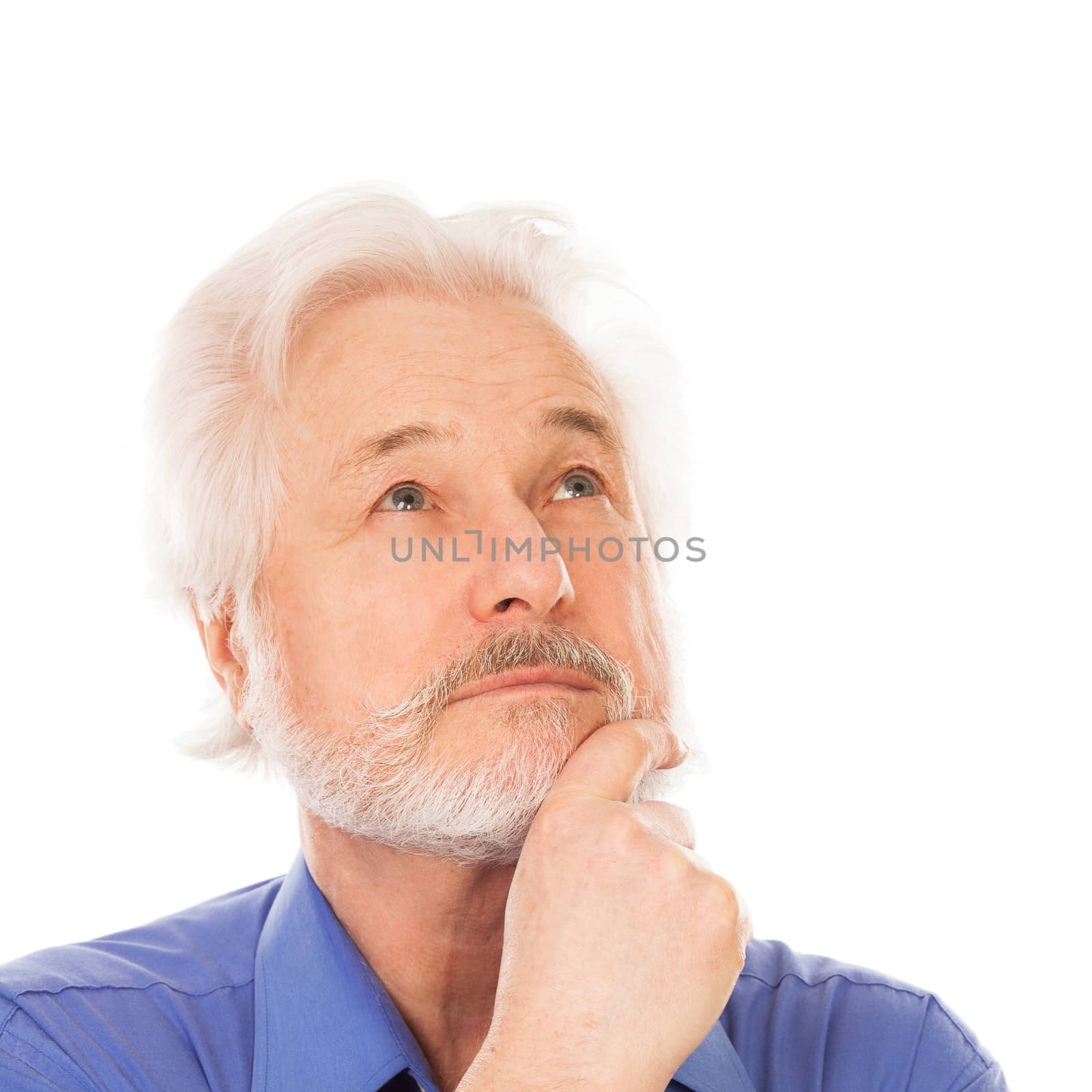 Portrait of handsome elderly man with beard on a white background