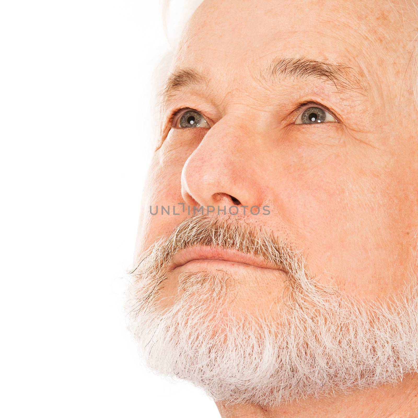 Portrait of handsome elderly man with beard on a white background