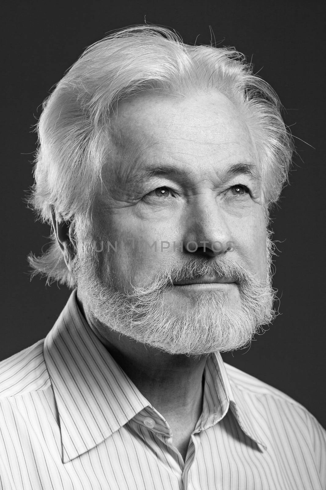 Closeup portrait of elderly man with beard on a black background