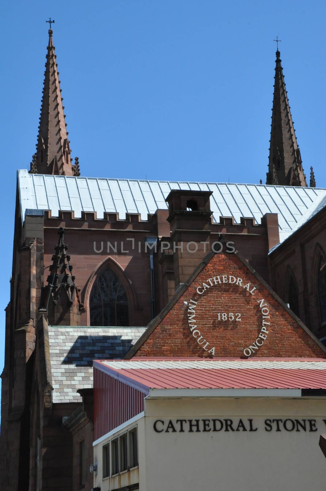 Cathedral of the Immaculate Conception in Albany, New York by sainaniritu