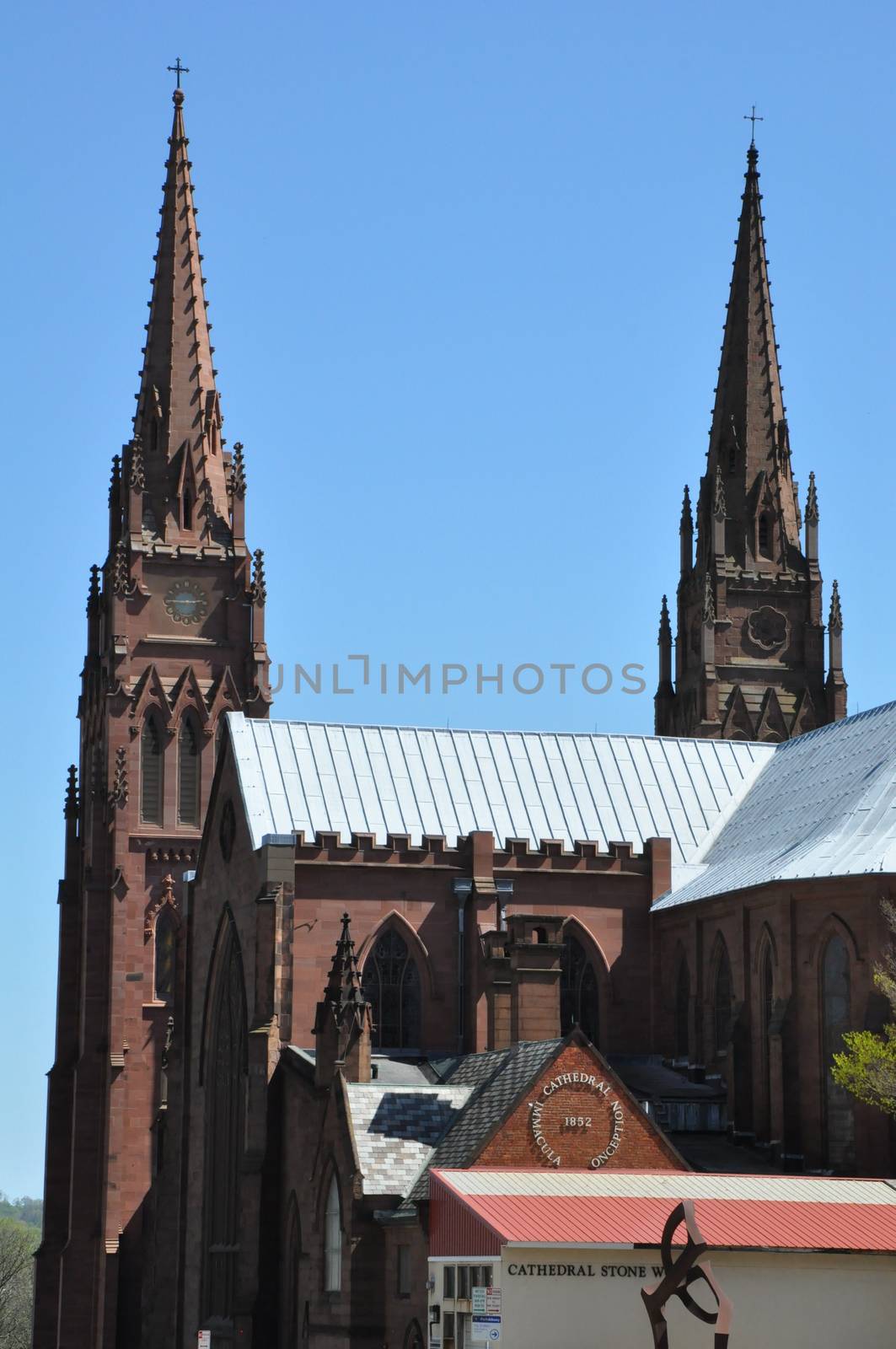 Cathedral of the Immaculate Conception in Albany, New York by sainaniritu