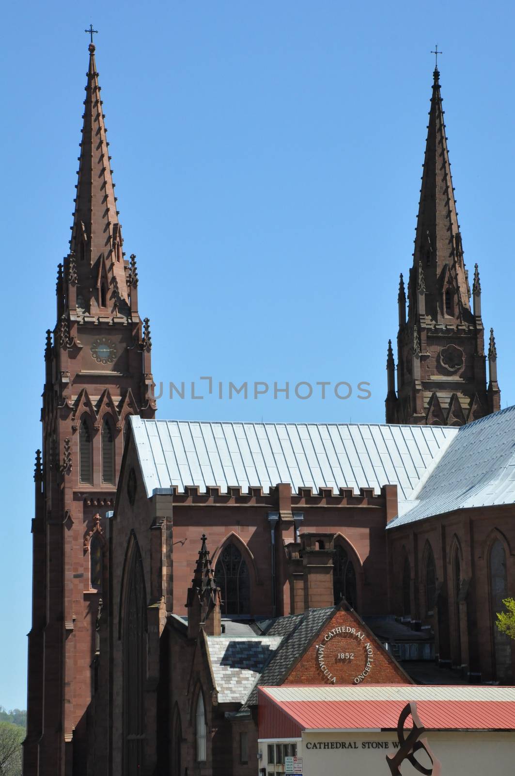 Cathedral of the Immaculate Conception in Albany, New York