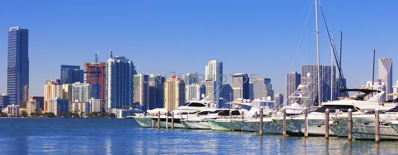 Miami south beach marina with skyline  by vwalakte