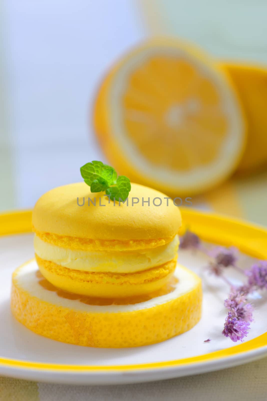 yellow lemon macaron and lemons