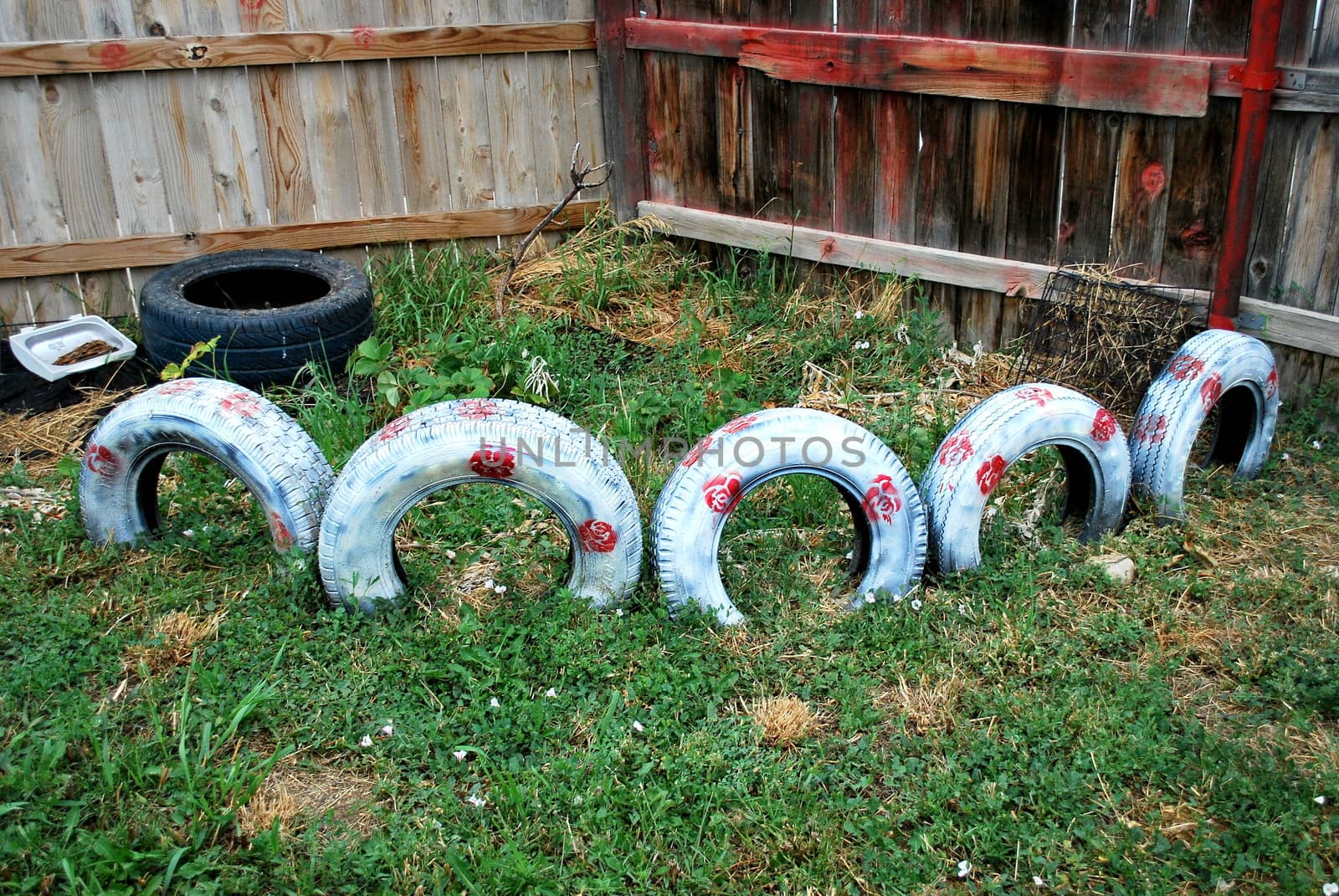 Garden tires. by oscarcwilliams
