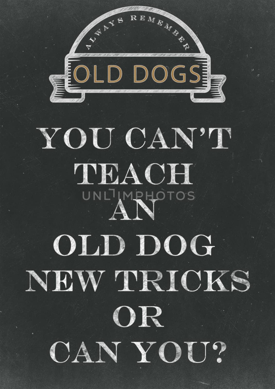  You Can't Teach An Old Dog New Tricks Hand Written On A Chalkboard