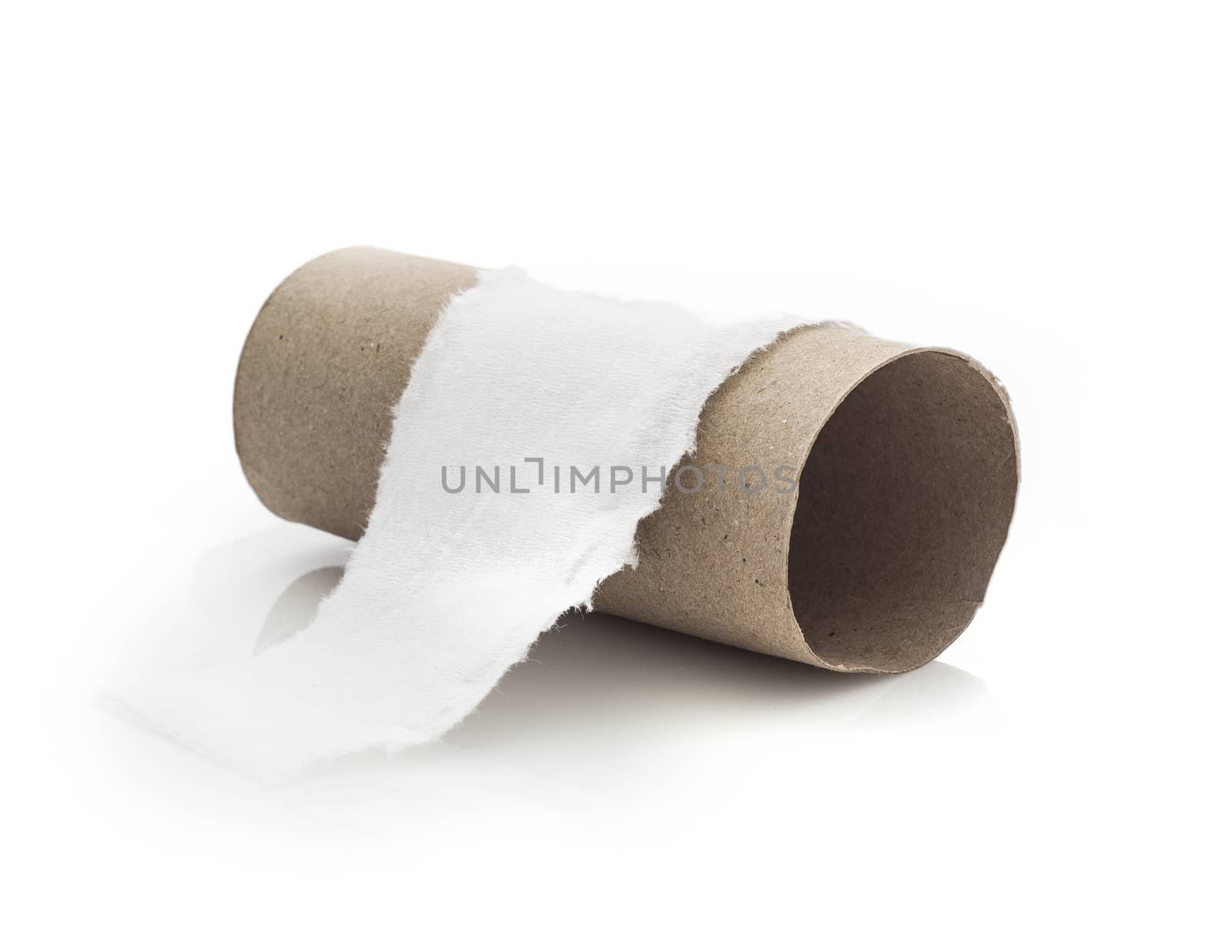 Empty toilet paper roll on white background