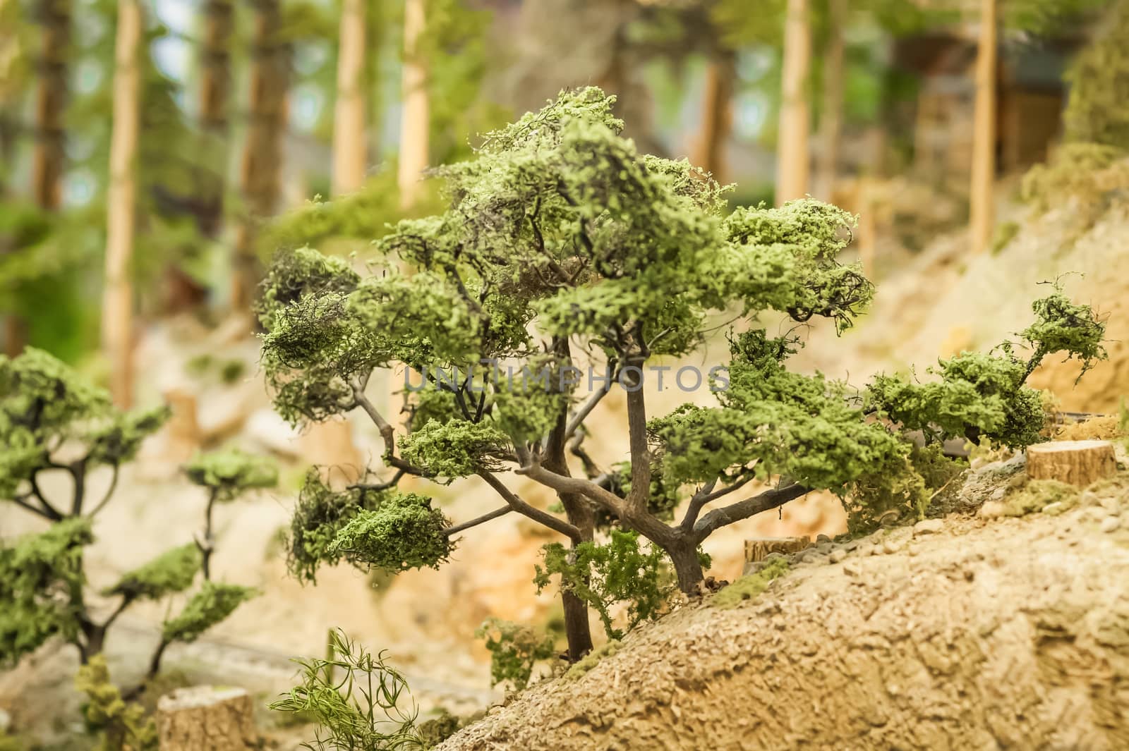 closeup of miniature model trees in a forest