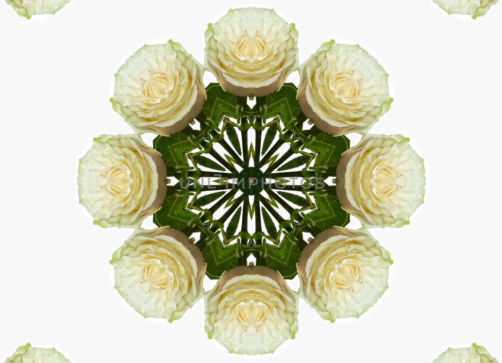 abstract kaleidoscopic pattern,background for design of roses