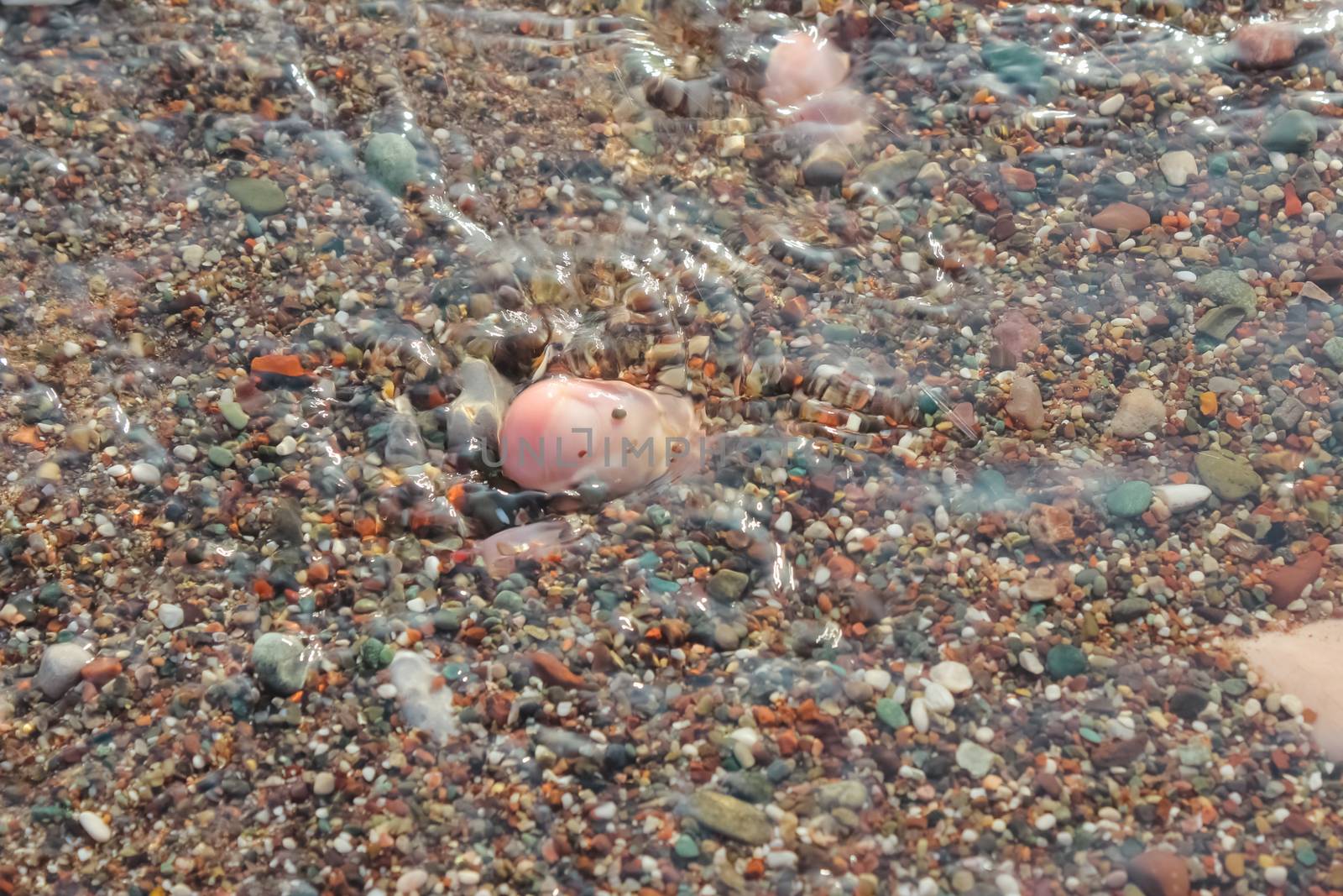 Feet in the Beach by sarymsakov