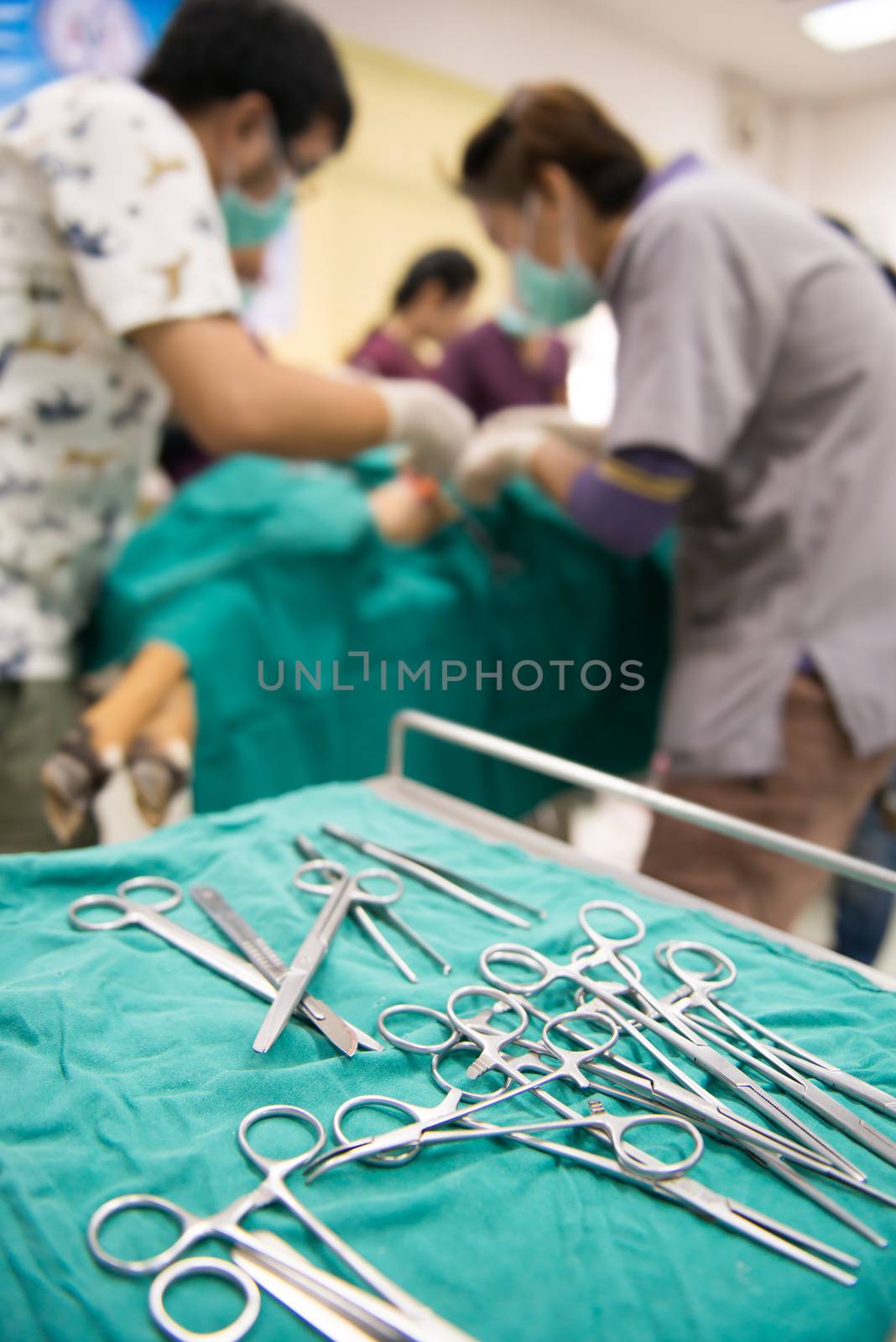 Veterinarian performing an operation in operating room by anankkml