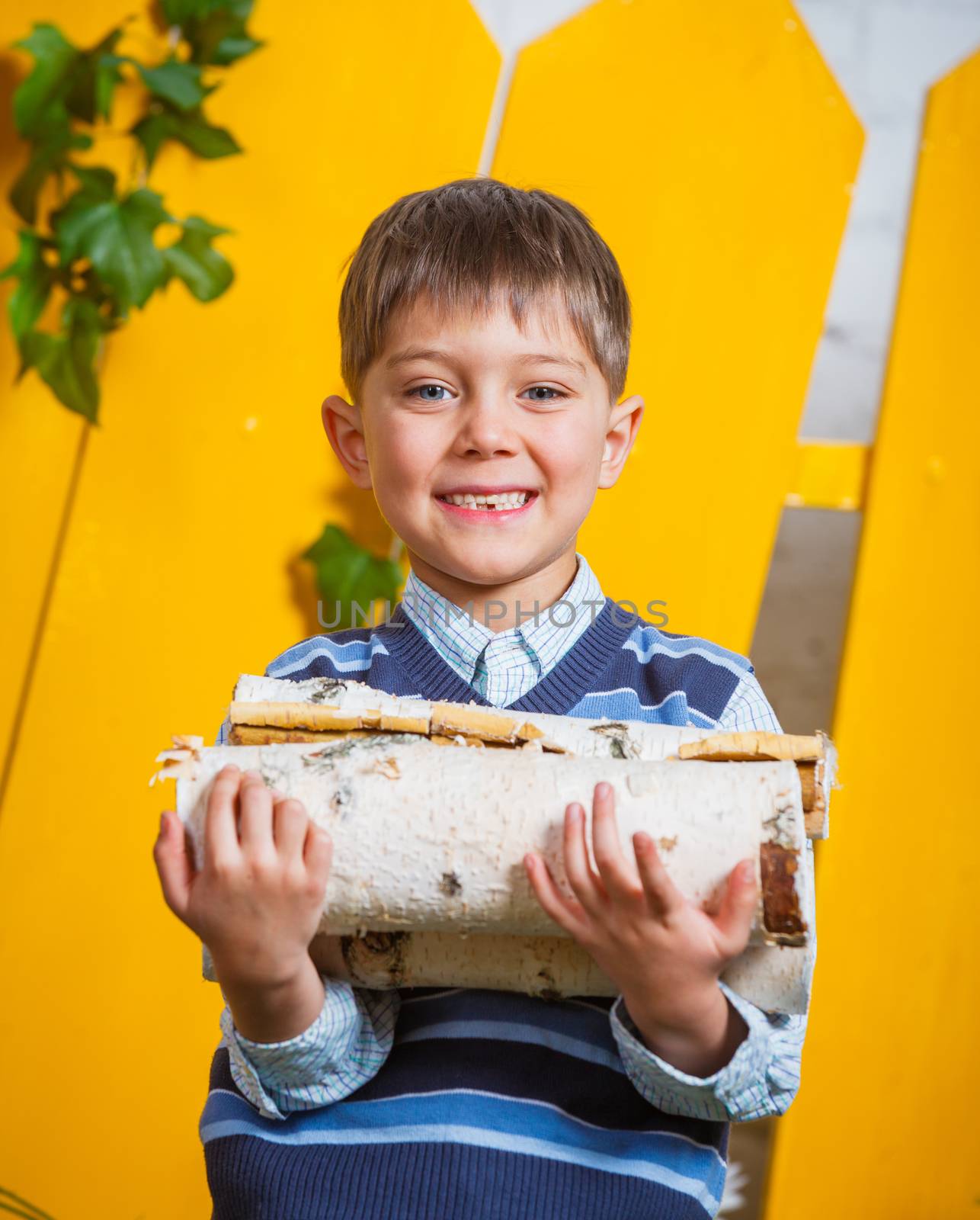 Portrait of a cute little boy with pile of firewood at yellow fence background