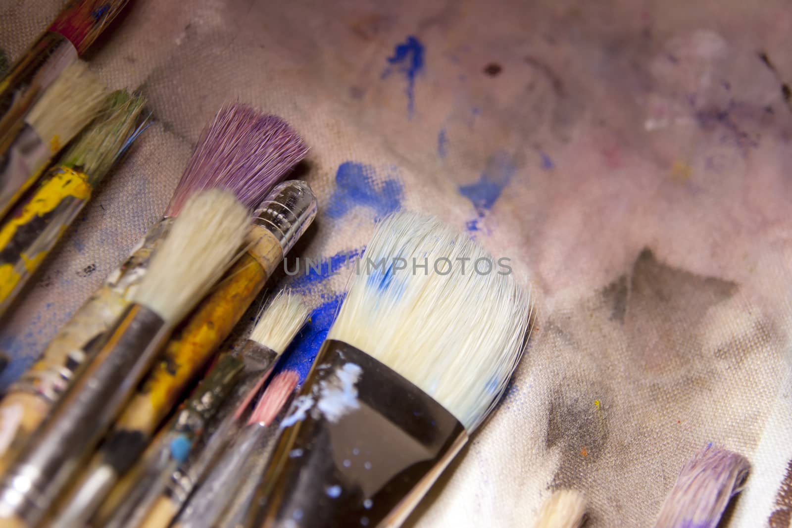 collection of various artists brushes in all sizes on a canvas background