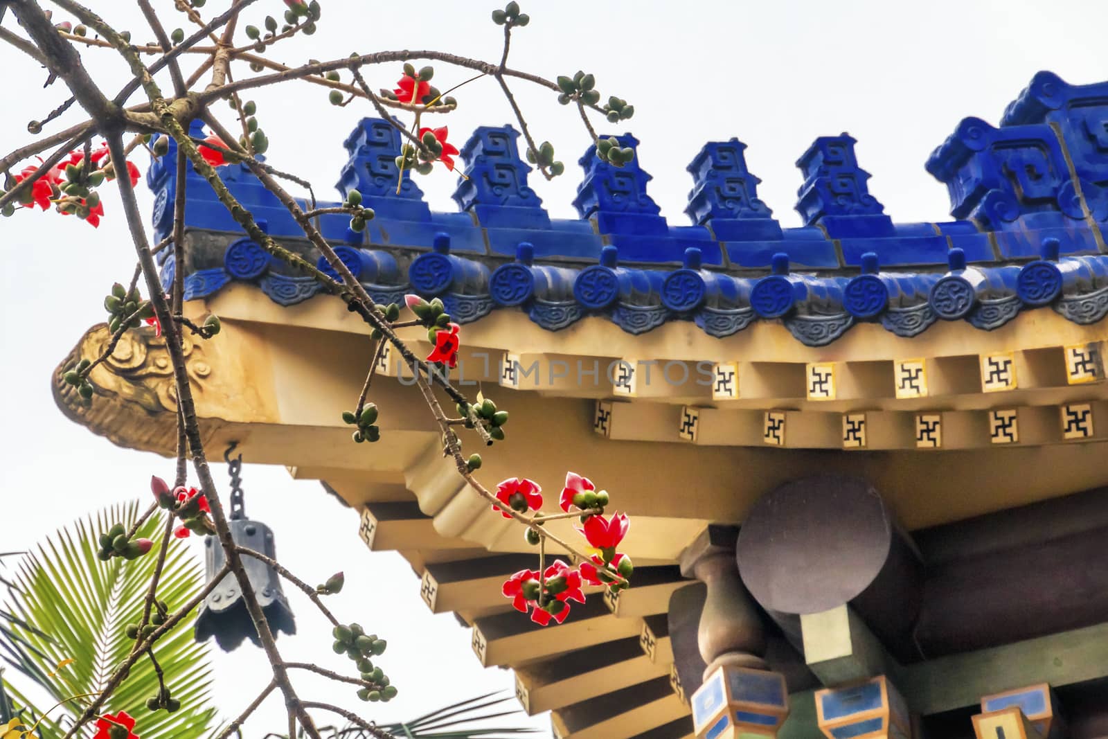 Red Bombax Ceiba Kapok Cotton Flower Guangzhou City Flower Sun Yat-Sen Memorial Guangzhou City Guangdong Province China.  Sun Yat-Sen's Memorial was constructed between 1929 to 1931 and is a memorial to the person, who inspired the Chinese revolution.  Sun Yat-Sen statue was 1956.