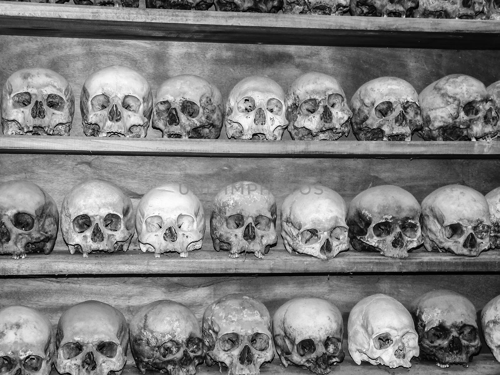 Collection of human skulls - black and white image