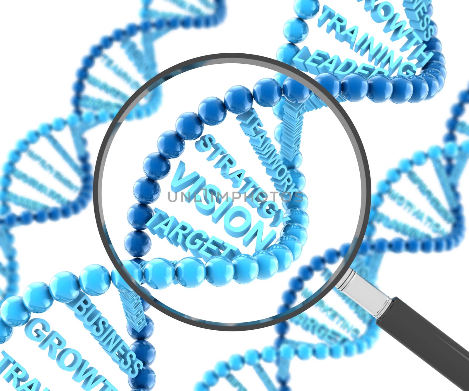 DNA molecules with business words and magnifying glass, 3d render